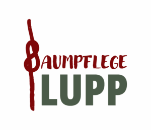 Baumpflege Lupp